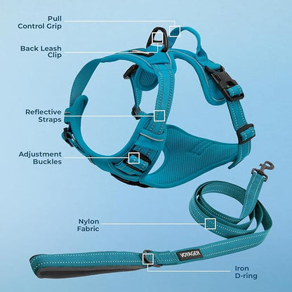 Voyager Dog Harness Dual Leash Attachment No-Pull Control Adjustable Soft but Strong Pet Harness for Medium and Large Dogs with 3M Reflective Technology, Leash Set Turquoise Nylon, XS (Chest: 13-16")