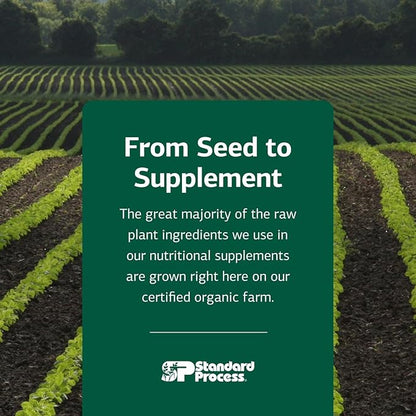 Standard Process Canine Hepatic Support - Dog Supplement to Aid Liver Health - Hepatic Immune Function & Liver Metabolism Support Supplement - Powder Supplement for Dogs - 30 g
