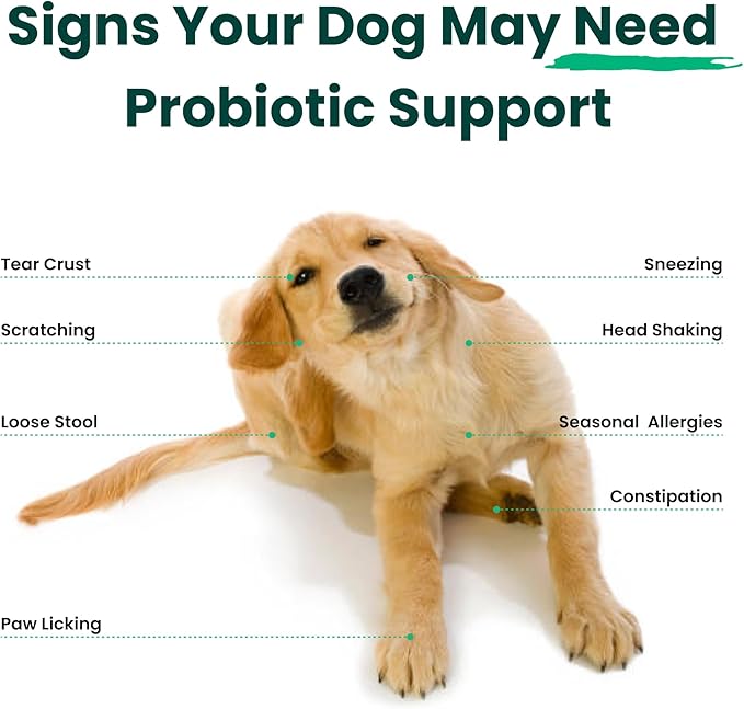 Dog Probiotics and Multivitamin Chews for Allergies, Digestive Health, Immune Support, Gut Health, Allergy Relief, Dog Vitamins, with Vitamin C, Omega 3, Colostrum, 60 Soft Chews per Jar