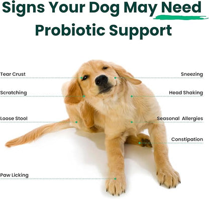 Dog Probiotics and Multivitamin Chews for Allergies, Digestive Health, Immune Support, Gut Health, Allergy Relief, Dog Vitamins, with Vitamin C, Omega 3, Colostrum, 60 Soft Chews per Jar