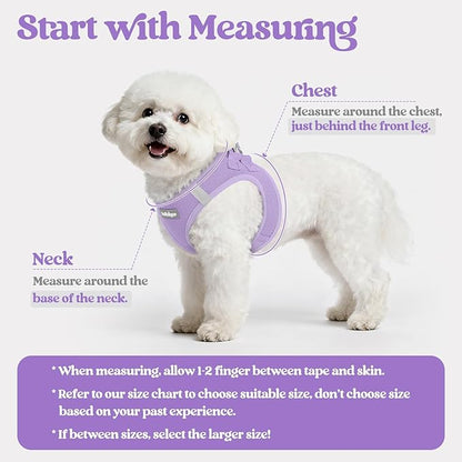 rabbitgoo Dog Harness Small Sized and Leash Set, Step in Soft Light Puppy Vest, Breathable Mesh Pet Harness, Reflective for Safe Easy Walking, Light Purple M