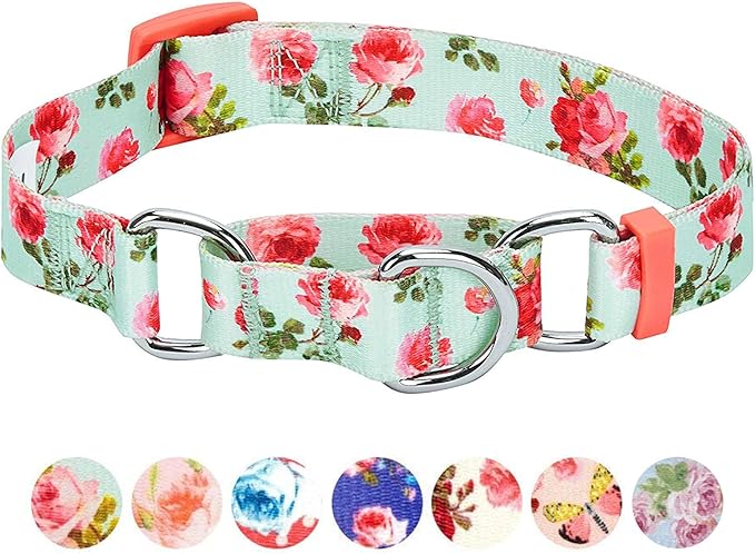 Blueberry Pet Spring Scent Inspired Rose Print Martingale Safety Training Dog Collar, Turquoise, Small, Heavy Duty Adjustable Collars for Dogs