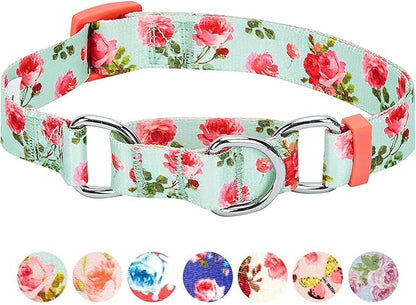 Blueberry Pet Spring Scent Inspired Rose Print Martingale Safety Training Dog Collar, Turquoise, Large, Heavy Duty Adjustable Collars for Dogs