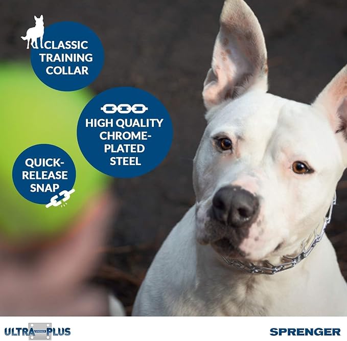 Herm Sprenger Pet Supply Imports Chrome Plated Training Collar with Quick Release Snap for Dogs, Medium, 3.0mm, 21-Inch