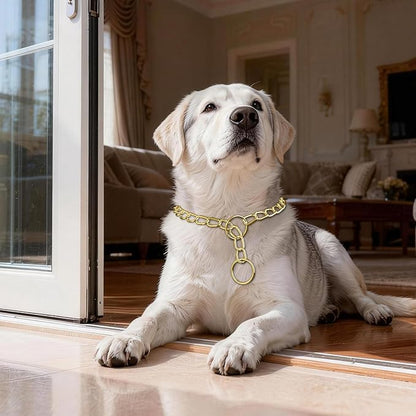 Chain Collar for Small Dogs, Metal Slip Link Training Heavy Duty Dog Choker Collar Martingale Puppy Collars for XS Small Medium Large Big XL Breed Dogs (Gold, XS(Neck Max 12inch) D2.0mm)