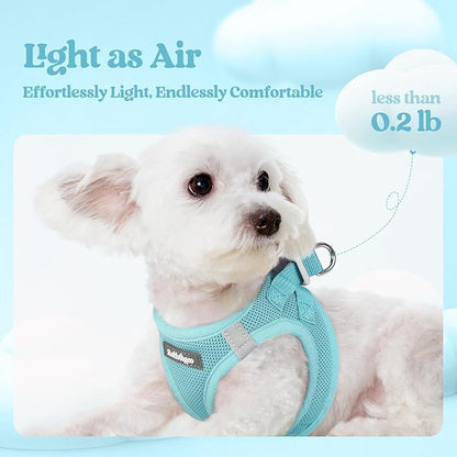 rabbitgoo Dog Harness Medium Sized and Leash Set, Step in Soft Light Puppy Vest, Breathable Mesh Pet Harness, Reflective for Safe Easy Walking, Mint Blue XXL