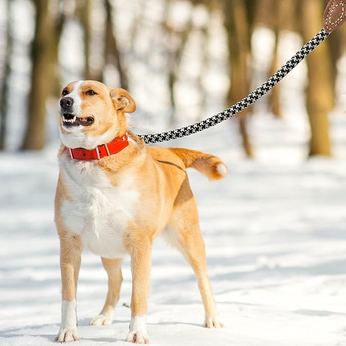 Mile High Life Rope Leash with Genuine Leather Connection, 6 FT/5 FT/4 FT, Heavy Duty Leash for Medium & Large Dogs (Black Khaki, 72 Inch)