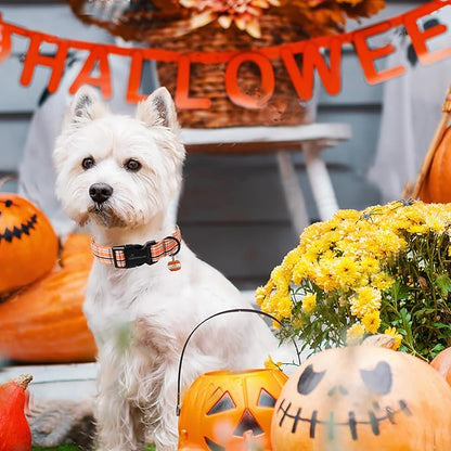 ARING PET Puppy Fall Dog Collar, Autumn Orange Black White Plaid Pet Collars for Small Medium Large Girl Boy Dogs Halloween-M Size