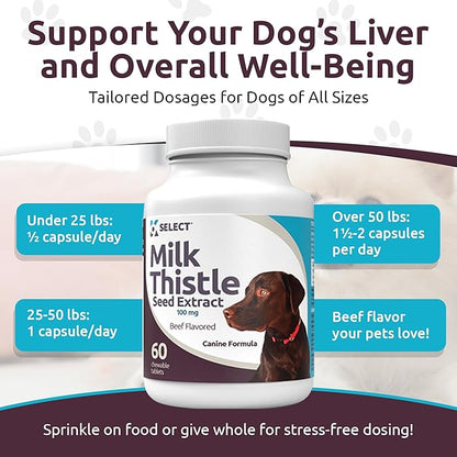 Milk Thistle Dog Liver Supplement 100mg | Liver Support & Detox for Dogs | 60 Beef Flavored Tablets | Canine Liver Health Formula | Natural Milk Thistle for Dogs Liver Support