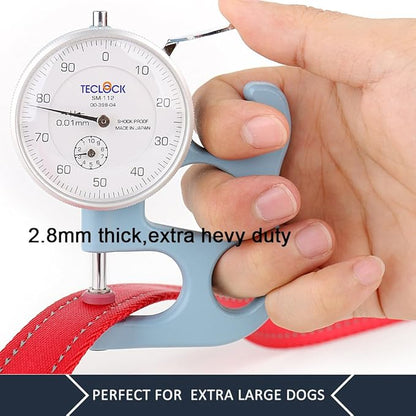 Plutus Pet Double Handle Dog Leash 4ft, Heavy Duty, Reflective Dual Handle Dog Leash for Safety Training, for Medium Large Dogs,2 Handle Leads(Red)