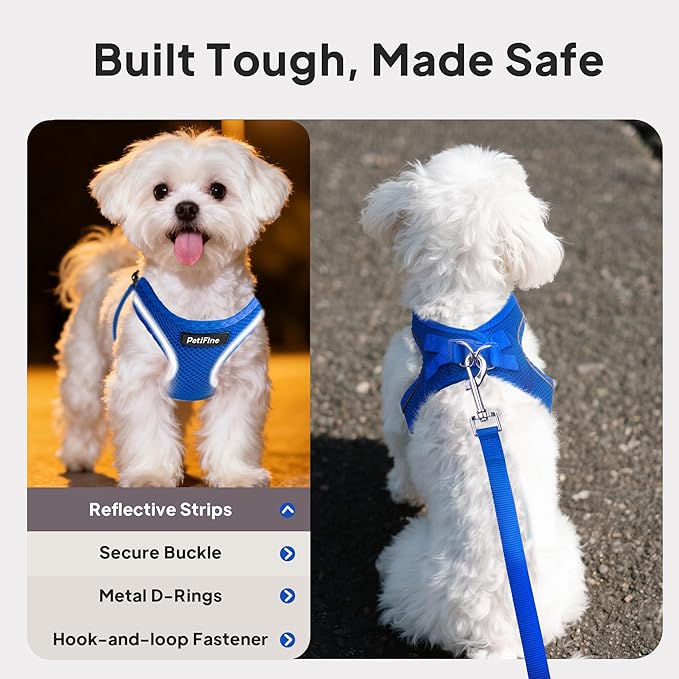 PetiFine Step in Small Dog Harness and Leash Set, Breathable All Weather Air Mesh Reflective Escape Proof, Step-in Vest Harnesses for Puppy(XS, Baby Blue)