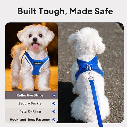 PetiFine Step in Small Dog Harness and Leash Set, Breathable All Weather Air Mesh Reflective Escape Proof, Step-in Vest Harnesses for Puppy(XS, Baby Blue)
