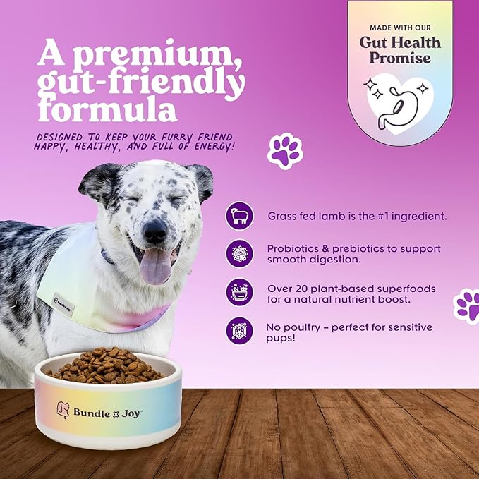Bundle x Joy Grass-Fed Lamb Dog Food 12lb Bag with Added Probiotics, Poultry-Free, Digestive Gut Health, No Chicken or Beef, Made in USA