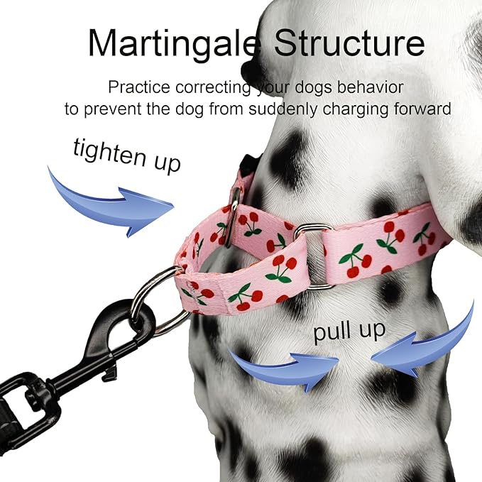 Martingale Dog Collar for Medium Dogs with Buckle No Pull Pink Girl Cute Dog Collars (Cherry, Medium)