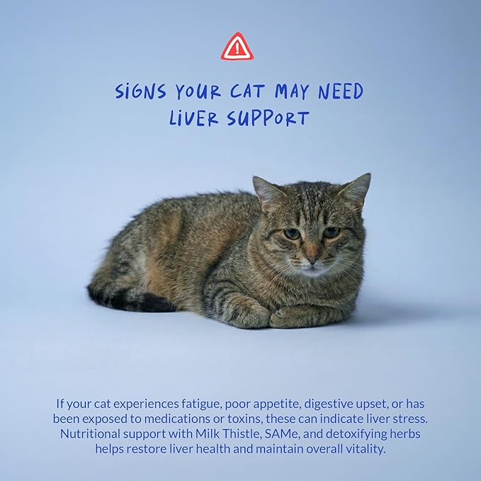 Milk Thistle for Cats - Liver and Kidney Support - Hepatic Support with EPA & DHA - Detox - Liver Supplement with Choline and L-Arginine (Powder for Cats)