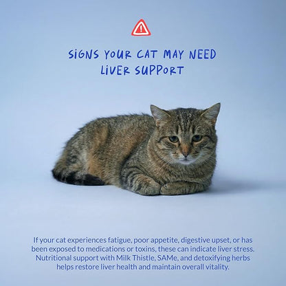 Milk Thistle for Cats - Liver and Kidney Support - Hepatic Support with EPA & DHA - Detox - Liver Supplement with Choline and L-Arginine (Powder for Cats)