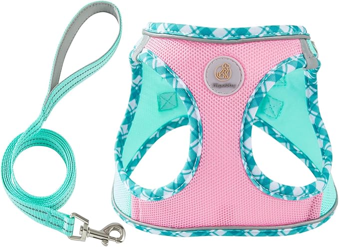 Hipubby Dog Harness Small Sized and Leash Set, No Pull Soft Mesh Puppy Vest, Reflective Breathable Lightweight Pet Harness, Harness for Small Medium Dogs and Cats - Pink Green, L