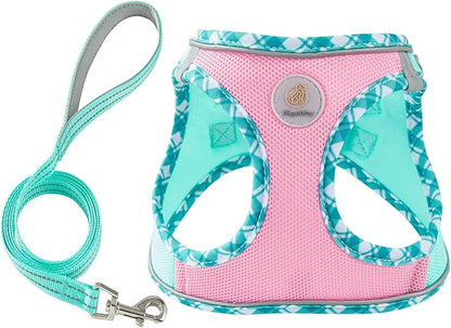 Hipubby Dog Harness Small Sized and Leash Set, No Pull Soft Mesh Puppy Vest, Reflective Breathable Lightweight Pet Harness, Harness for Small Medium Dogs and Cats - Pink Green, L