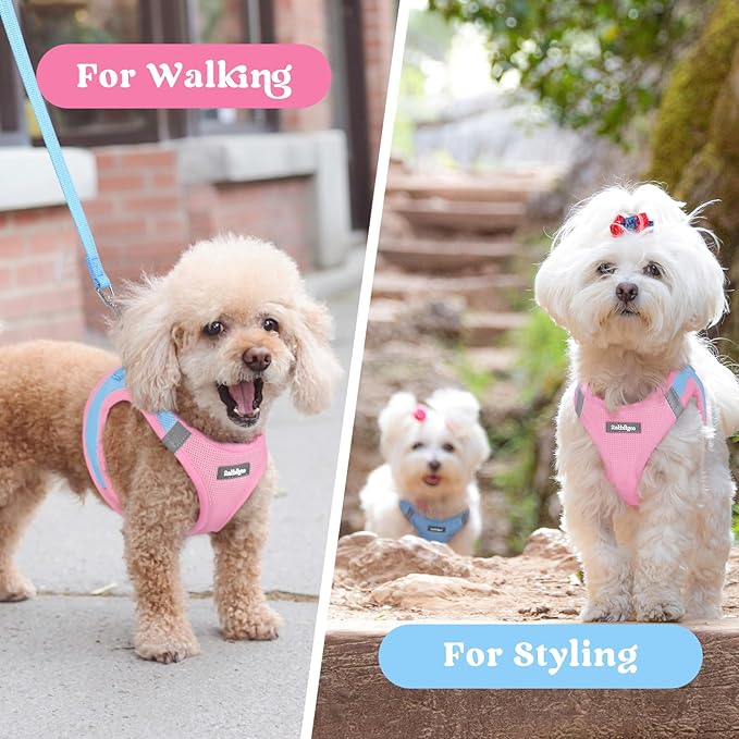 rabbitgoo Small Dog Harness, Step-in Soft Mesh Puppy Vest with Safety Buckle, Breathable Reflective Pet Harness for Small Medium Dogs, Blue & Light Pink XL