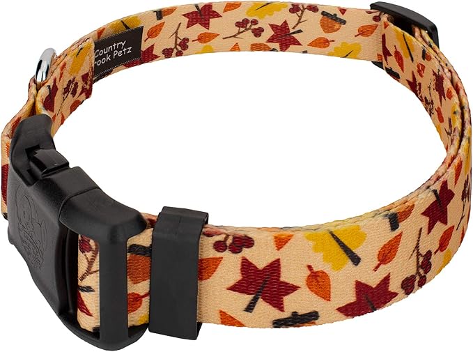 Country Brook Petz - Fall Foliage Everyday Dog Collar and Leash - Awesome Autumn Collection Featuring Designs You Will Fall for (5/8 Inch, Small)