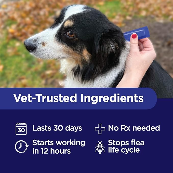 TevraPet Activate II Flea and Tick Prevention for Dogs, Extra Large Dogs 55+ lbs, Topical Drops, 4 Month Flea and Tick Treatment