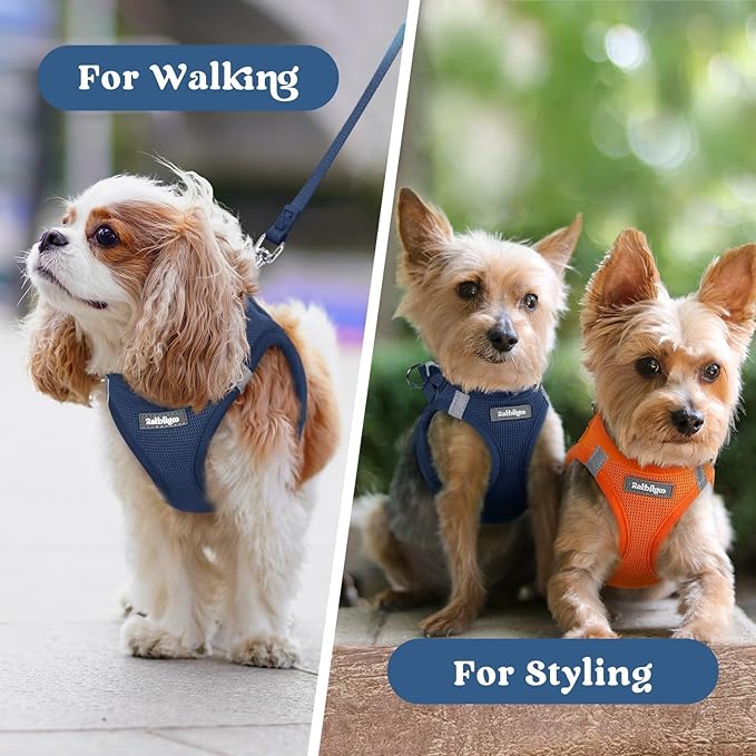 rabbitgoo Small Dog Harness, Step-in Soft Mesh Puppy Vest with Safety Buckle, Breathable Reflective Pet Harness for Small Sized Dogs, Navy Blue XS