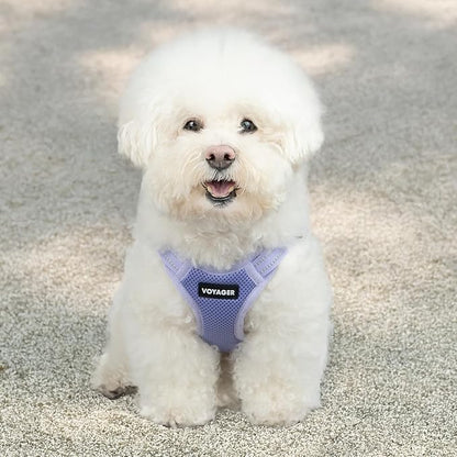 Best Pet Supplies Voyager Adjustable Step-in Flex Breathable Mesh Dog Harness for Small Medium Large Dogs (Lavender), M