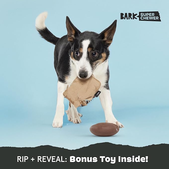 Barkbox Jitter Pug Coffee Bean Dog Toy for Medium Dogs, Hidden Surprise Toy Inside for Engaged and Excited Playtime Fun