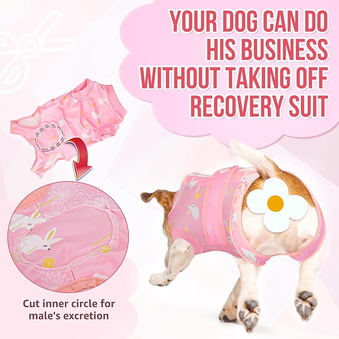 Lukovee Recovery Suit for Dogs, Zipper On Recovery Suit for Female Male Dog, Onesie Abdominal Wounds Cone E-Collar Alternative Prevent Licking Spay Recovery Suit (XS, 2PI)