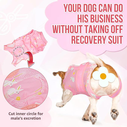 Lukovee Recovery Suit for Dogs, Zipper On Recovery Suit for Female Male Dog, Onesie Abdominal Wounds Cone E-Collar Alternative Prevent Licking Spay Recovery Suit (XS, 2PI)