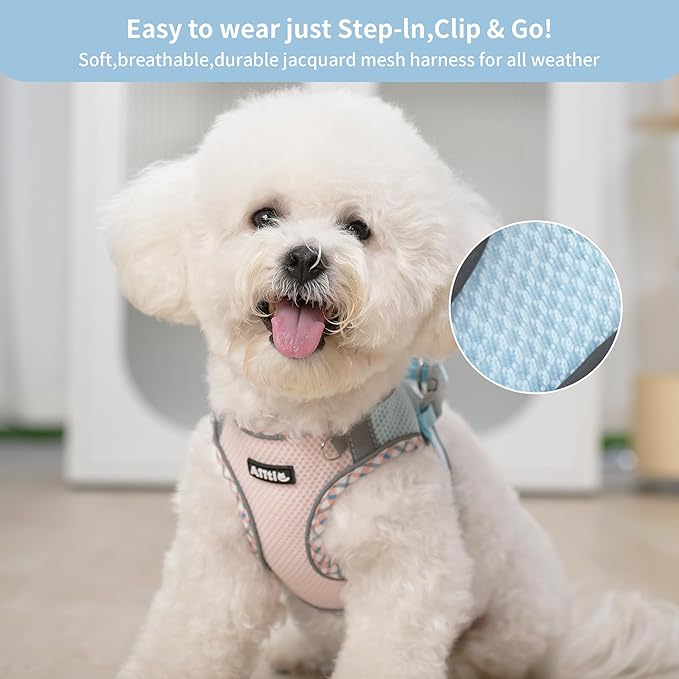 AIITLE Dog Harness and Leash Set - Ultra-Comfortable XXS-XL Vest with Strong Magic Tape & Glow-in-Dark Reflective Strips, Chafe-Free for Teddy, Schnauzer (Blue-Pink, M)