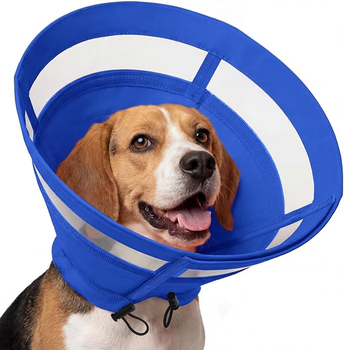 ASENKU Dog Cone Collar, Protective Recovery Dog Collar After Surgery, Comfy Adjustable Cone for Dogs to Stop Licking, Pet E-Collar for Small, Medium & Large Dogs(Blue, M)