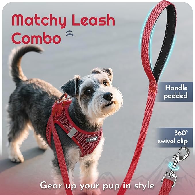 Eagloo Small Dog Harness and Leash Set, Step in Puppy Vest with Breathable Soft Mesh, Walking Reflective Pet Harness for Medium Small Dogs, Red, M