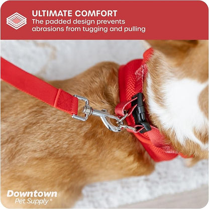 Downtown Pet Supply Step-in Dog Harness – No Pull, Adjustable Padded Mesh with Reflective Trim, Secure Buckle Strap – Comfortable & Breathable Small Dog Harness, X-Small, Red