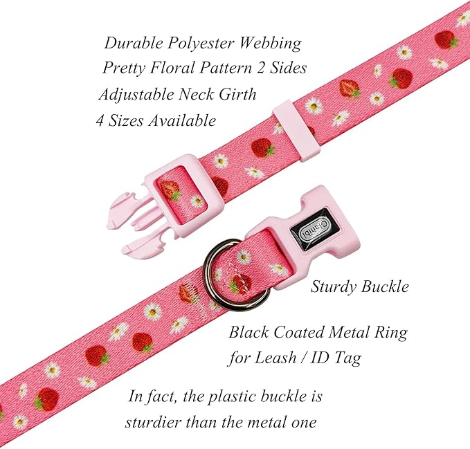 Dog Collar Leash Set, Floral Pattern, Polyester Material, Adjustable Collar and 5ft Matchcing Leash, for Large Dogs.(L, Daisy and Strawberry)