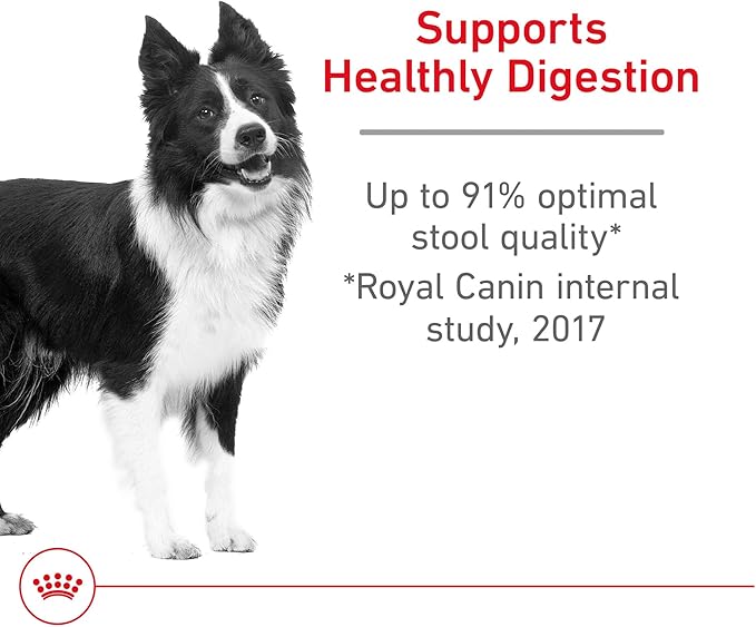 Royal Canin Canine Care Nutrition Medium Digestive Care Adult Dry Dog Food, 30 lb Bag