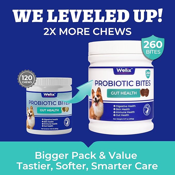 Wellix 260 Bites Probiotics for Dogs - Dog Probiotics and Prebiotics with Pumkin - Improve Digestive Health, Allergies and Itchy Skin Relief Natural Gut Health Supplements for Small Medium Senior Dog