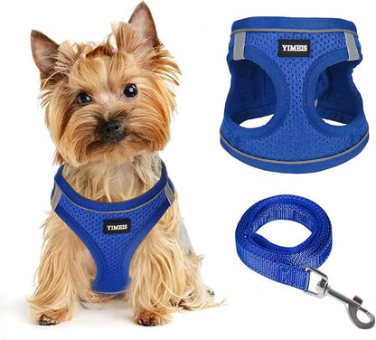 Dog Harness for Small Dogs and Leash Set, Honeycomb Grid, Reflective Lightweight Harness & Anti-Twist Pet Lead (Multi Color, Size: XS-S-M) (M, Sapphire Blue)