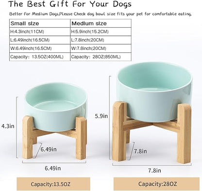 Petygooing 28 OZ Elevated/Raised Ceramic Dog Bowl for Small and Medium Breeds, Dog Food Water Dish with Stand,Pet Feeding Bowl with Anti Slip Rubber for Cats Small and Medium Dogs (3.6 Cups) Blue Sky