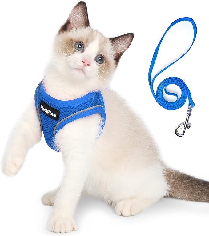PetiFine Extra Small Step in Dog Harness and Leash Set, Cat Harness and Leash Escape Proof, All Weather Mesh Reflective, Step-in Velcro Air Vest Harnesses for Puppy(XXXS, Blue)