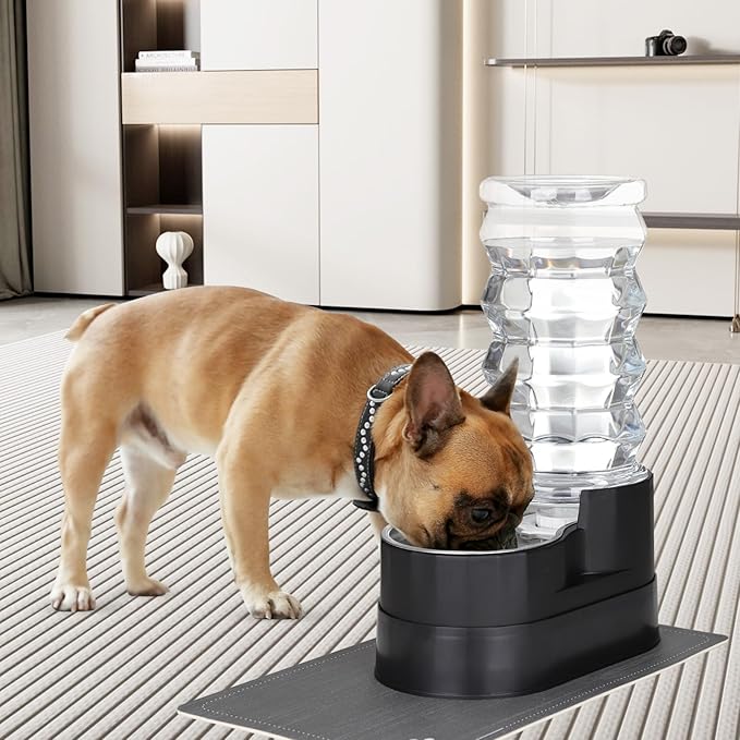 RIZZARI Large Water Dispenser for Dogs: 8L Black Raised Gravity Auto-Refill Waterer with Stainless Steel Bowl - Leak-Resistant & Easy Cleaning - Less Bending for Senior Dogs - Garage & Garden