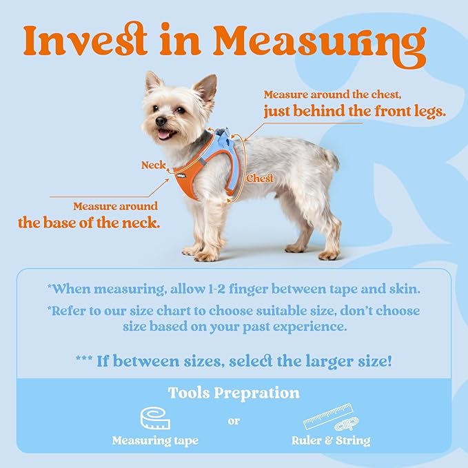 rabbitgoo Small Dog Harness, Step-in Soft Mesh Puppy Vest with Safety Buckle, Breathable Reflective Pet Harness for Small Sized Dogs, Blue & Orange XS