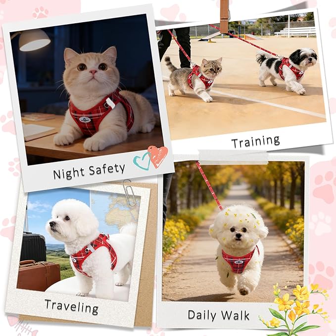 Gyuzh Small Dog Harness and Leash Set for Puppies - 3 Pieces Step in No Pull Vest & Collar, Extra Small Kitten Harness, Breathable Reflective Plaid, Padded Leash (Red, S)