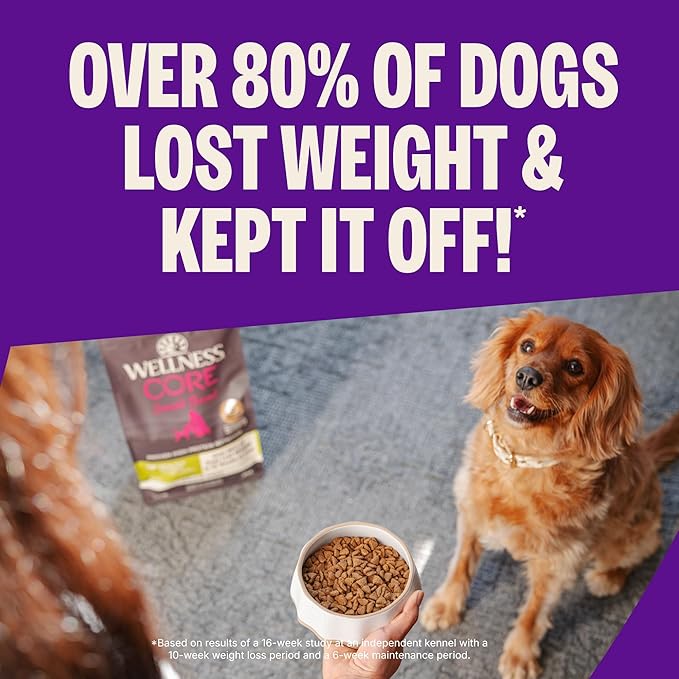 Wellness CORE Dry Dog Food, Small Breed, Grain-Free, High Protein, Natural, Healthy Weight Turkey & Chicken Recipe, (12-Pound Bag)