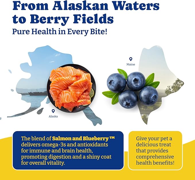 Probiotics for Dogs - Dog Probiotics for Gut, Immune & Skin Health - 6 Billion CFUs, 180 Soft Chews, Salmon & Blueberry Flavor - with Prebiotics & Digestive Enzymes