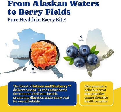 Probiotics for Dogs - Dog Probiotics for Gut, Immune & Skin Health - 6 Billion CFUs, 180 Soft Chews, Salmon & Blueberry Flavor - with Prebiotics & Digestive Enzymes