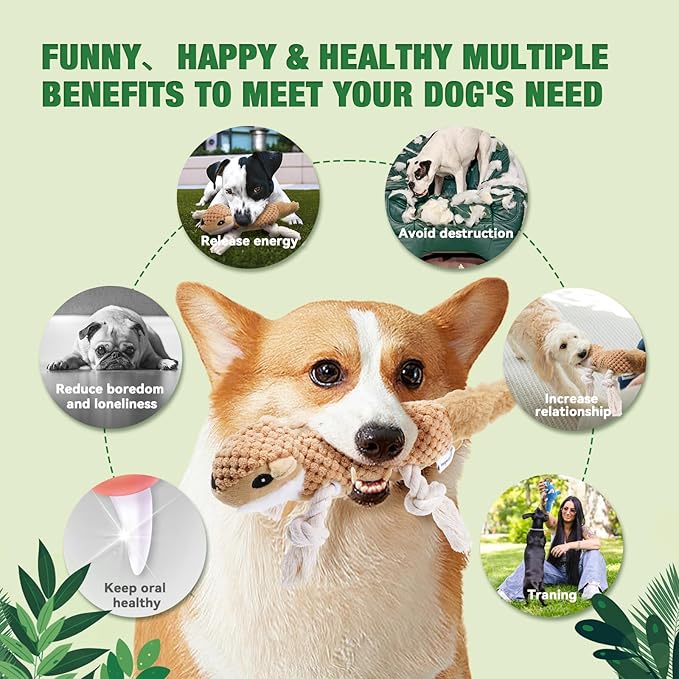 LEGEND SANDY Dog Squeaky Toys for Puppy, 5 Pack Small Dog Toys, Stuffed Animal Puppy Toys with Tug of War Ropes Value Bundle, Puppy Chew Toys for Teething with Squeakers Small Medium Breeds