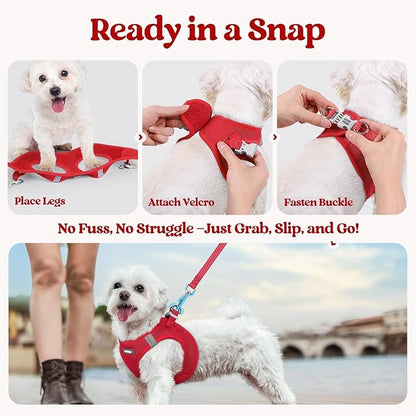 rabbitgoo Dog Harness Small Sized and Leash Set, Step in Soft Light Puppy Vest, Breathable Mesh Pet Harness, Reflective for Safe Easy Walking, Red XXS