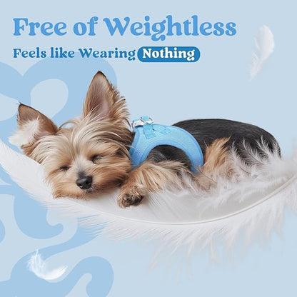 rabbitgoo Small Dog Harness, Step-in Soft Mesh Puppy Vest with Safety Buckle, Breathable Reflective Pet Harness for Small Medium Dogs, Blue XL
