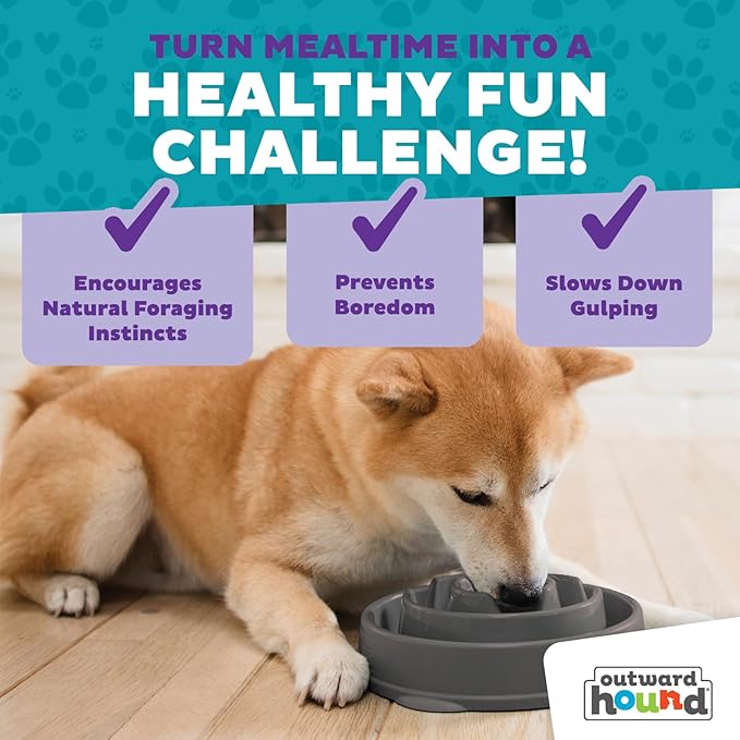 Outward Hound Fun Feeder Slo Bowl – Medium 2‑Cup Capacity,Slow Feeding,Small to Medium Dogs & Cats,Non-Slip,Gray,Drop Pattern,(Pack of 12)